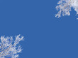 Ciel d'hiver