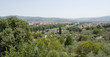 Foto: Florence Florence