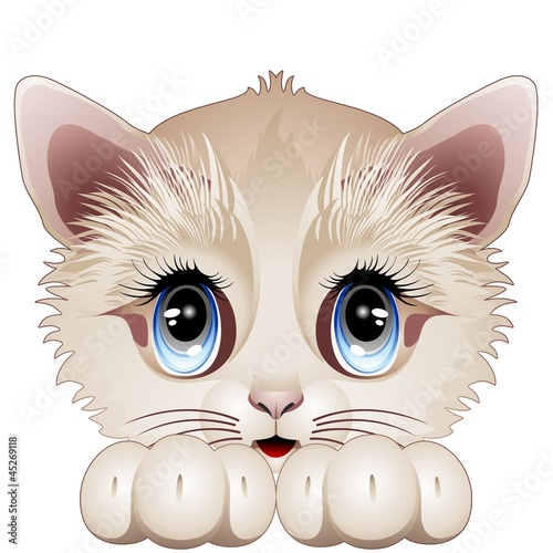 Vector: Cute Kitten Cartoon Character-Gatto Gattino Cucciolo-Vector Cute Kitten Cartoon Character-Gatto Gattino Cucciolo-Vector