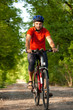 Biker on the forest road