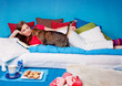 bedtime 23/girl and cat at home in bed