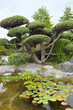 exotic garden