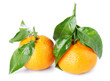 Mandarin oranges