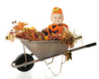 Baby from the Pumpkin Patch
