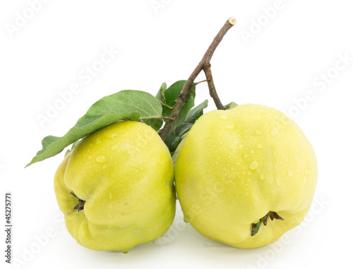 Photo: quince, apple quince, apple quince, apple quince, apple