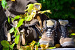 Wanderschuhe Herbst Pause Wandern