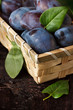 Fresh plums.