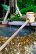 fountain of youth