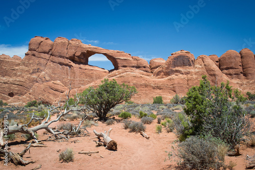 Photo: arches national park arches national park