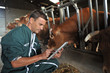 Farmer in barn using digital tablet