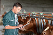 Cow breeder using touchpad inside the barn