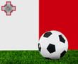 The Maltese flag