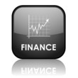 "FINANCE" Web Button (banking financial stock market shares)