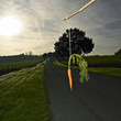 Carrot on stick