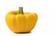 Patisson Kürbis (Cucurbita pepo)