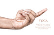 Vajra mudra