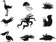 Set of Funny Vector Animals