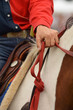 Detail of Western Riding Equipment