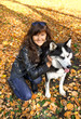 Dog siberian husky and young woman