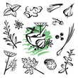 set of different herbs and spices