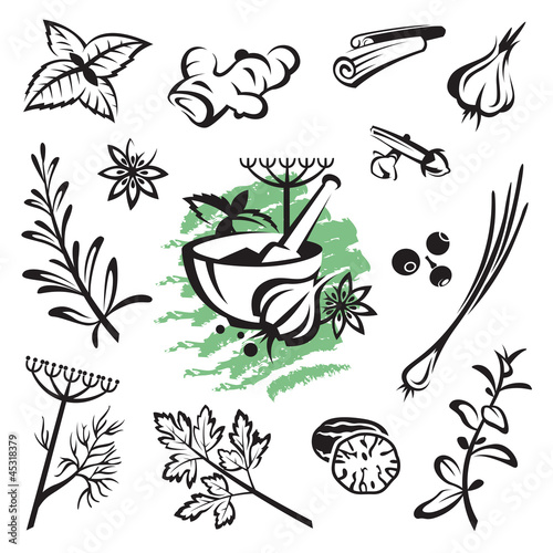 Vector: set of different herbs and spices set of different herbs and spices