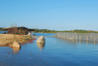The coast of Sardinia - San Teodoro - Italy - 675