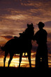 Cowboy holding horse in sunset