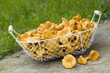 Pfifferlinge