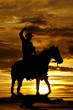 Cowboy swinging rope on horse in water