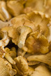 Pfifferlinge