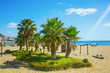 Palm trees on a beach of Fuengirola, Spain