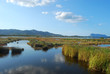 The pond of San Teodoro - Sardinia - Italy - 579