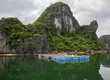 Floating fishing village