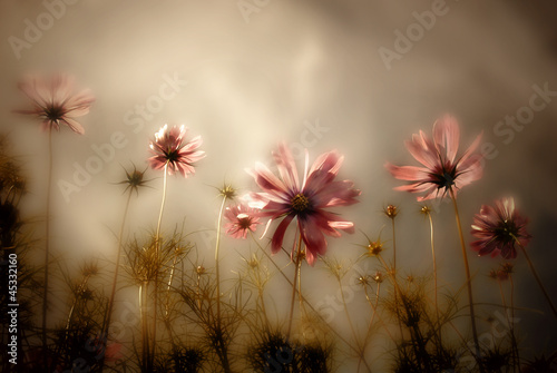 Photo: wildflowers card wildflowers card