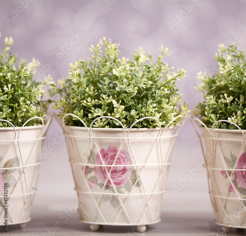 Photo: Three plants in ornamented flowerpots Three plants in ornamented flowerpots