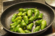 Pimientos de Padrón