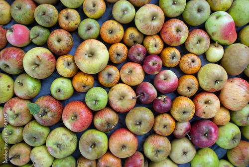 Photo: Mostäpfel Mostäpfel