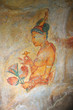 Famous wall paintings on Sigiriya. Sri Lanka