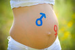 Photo: Beautiful pregnant woman Beautiful pregnant woman
