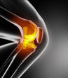 Knee anatomy lateral view