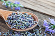 Lavendel