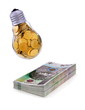 Photo: Business symbols, golden lightbulb and polish banknote Business symbols, golden lightbulb and polish banknote