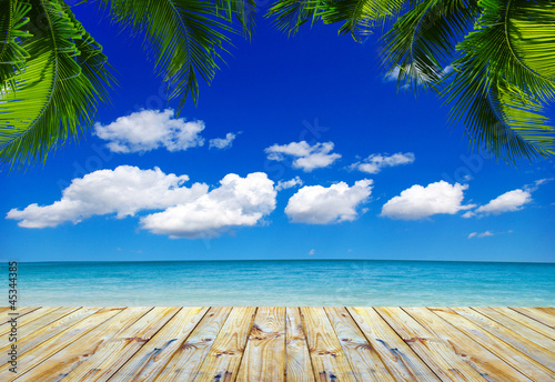 Photo: sea sea