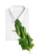 Photo: Necktie Necktie