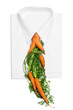 Photo: Necktie Necktie