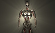 Advanced robot soldier