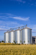 four silver silos in corn field