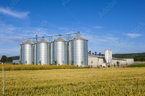 Photo: four silver silos in corn field four silver silos in corn field