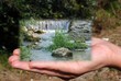 la natura in mano