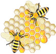 Bees at Work